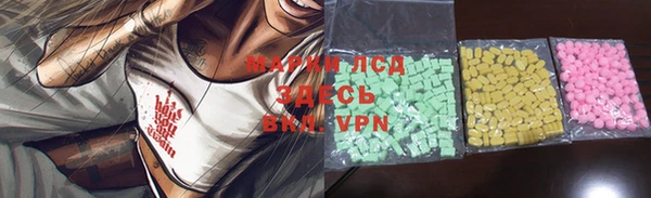 сатива Нягань