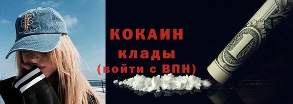 сатива Нягань
