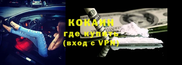 сатива Нягань