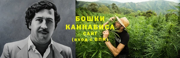 сатива Нягань