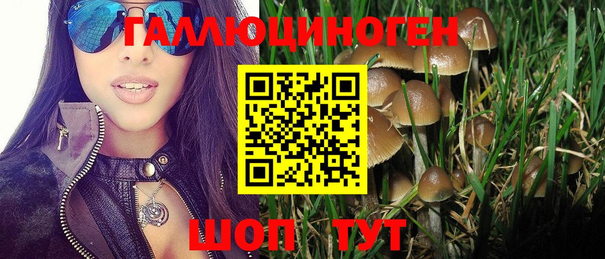 Псилоцибиновые грибы GOLDEN TEACHER  Вход с VPN  Волгоград 