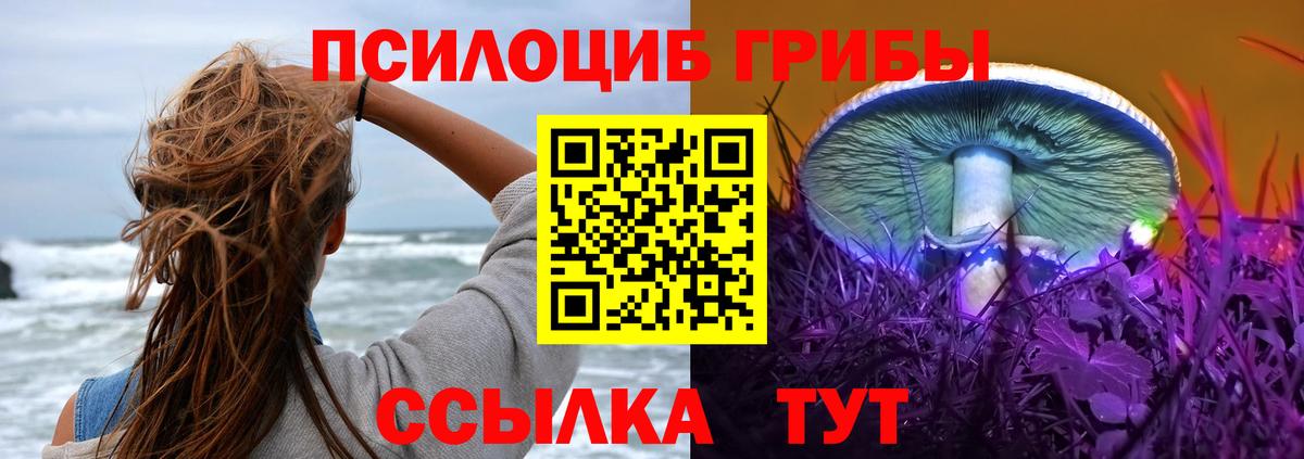 Галлюциногенные грибы Cubensis  Галлюциногенные грибы ЛСД  Волгоград 